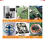 Mỡ Hàn Trợ Mạch Siêu Dính Làm Sạch Mối Hàn Thiếc Đồng Sắt Hàn Cell Pin 35g 100g