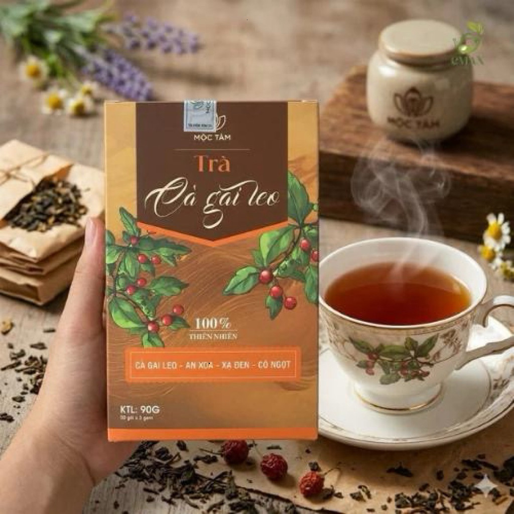 Trà Cà Gai Leo Mộc Tâm Hộp 30 Gói Chính Hãng Cao Cấp - An xoa xạ đen bổ gan mát gan giải nhiệt thanh lọc cơ thể an toàn