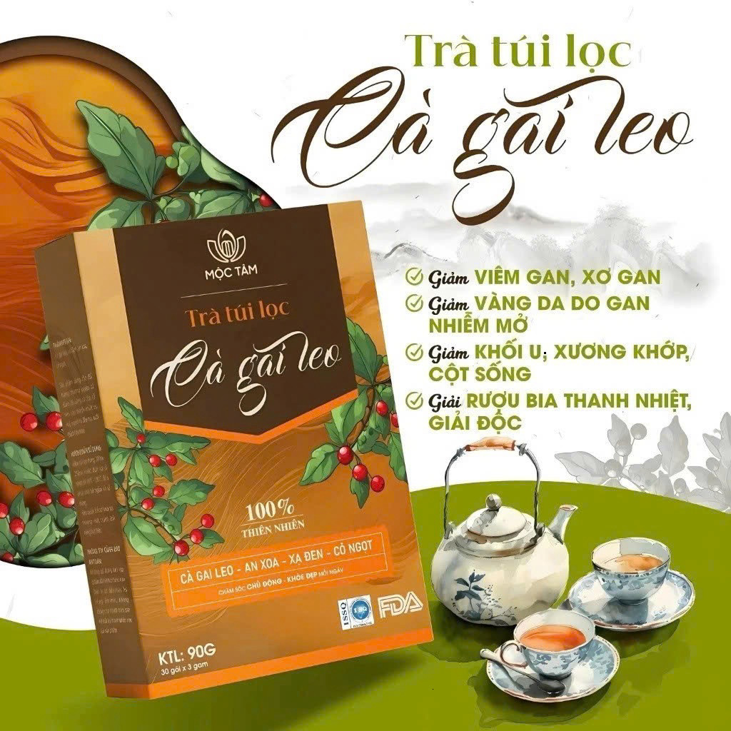 [RẺ VÔ ĐỊCH Chính Hãng] Trà Cà Gai Leo Hộp 30 Gói ✅ Trà mát gan an xoa xạ đen bảo vệ lá gan khỏi tác hại của bia rượu