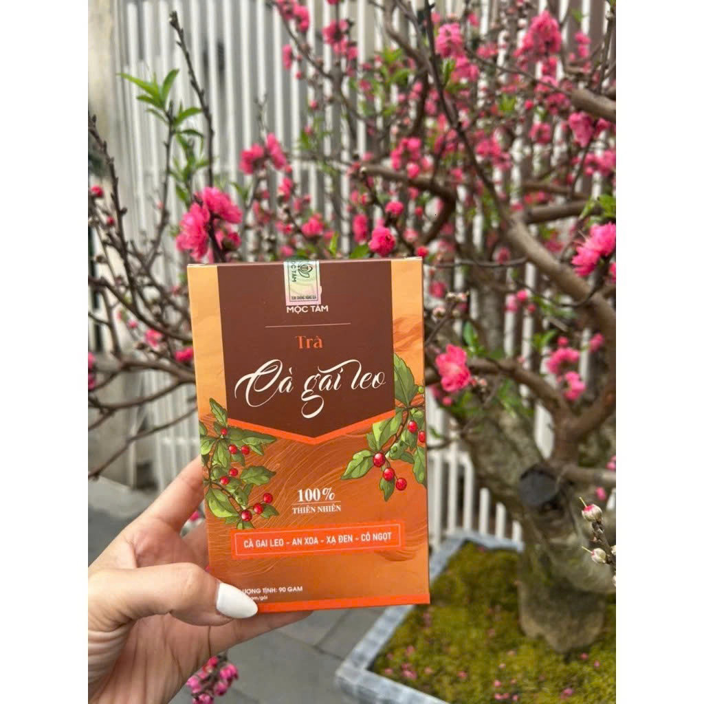 [RẺ VÔ ĐỊCH Chính Hãng] Trà Cà Gai Leo Hộp 30 Gói ✅ Trà mát gan an xoa xạ đen bảo vệ lá gan khỏi tác hại của bia rượu