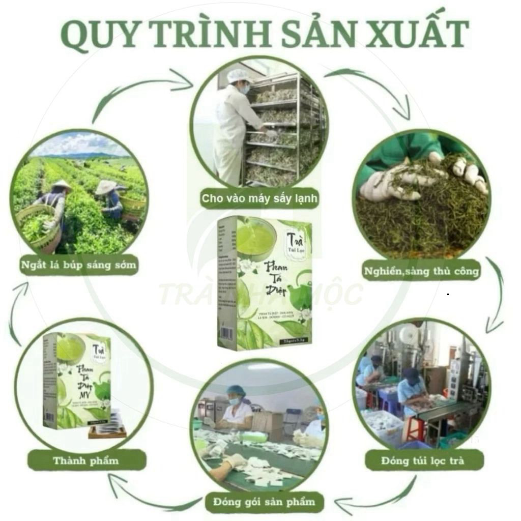 ✅ Trà Phan Tả Diệp Mộc Tâm Hộp 25 Gói [Chính Hãng Cao Cấp] ✅ Hỗ trợ hệ tiêu hóa tốt nhuận tràng thanh lọc cơ thể