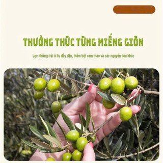 Túi 500g Quả Ô Liu Cam Thảo Ăn Liền Hương Vani Mặn Ngọt Cùi Giòn Thơm Mọng Nước, Food Ăn Vặt -Kingan22