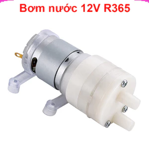 Bơm nước mini 12V R365 chuyên dùng tưới cây, bể cá và dự án DIY
