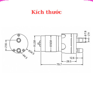Bơm nước mini 12V R365 chuyên dùng tưới cây, bể cá và dự án DIY