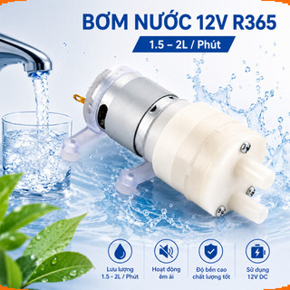 Bơm nước mini 12V R365 chuyên dùng tưới cây, bể cá và dự án DIY