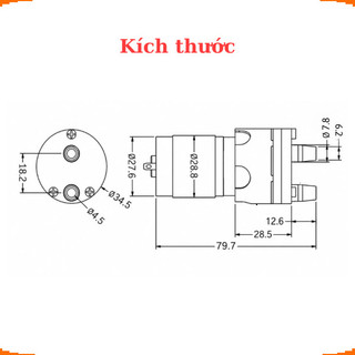 Bơm nước mini 12V R365 chuyên dùng tưới cây, bể cá và dự án DIY