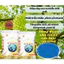 PHÂN BÓN Raw Rin NPK 30-10-10 TE- Công nghệ Tháp Cao hàng đầu thế giới ( đóng túi zip 1kg)