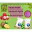 PHÂN BÓN Raw Rin NPK 15-5-25 - Công nghệ Tháp Cao hàng đầu thế giới ( đóng túi 1kg)