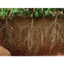 Phân bón bộ ba phép thuật RAW RIN (1lit) Phục hồi suy kiệt, tăng đề kháng cho cây