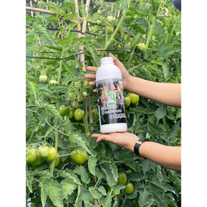 Phân bón bộ ba phép thuật RAW RIN (1lit) Phục hồi suy kiệt, tăng đề kháng cho cây