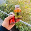 Hương Liệu Gan Ngỗng 101 - chiến Phi 101100ml Thơm Tanh Béo Câu Cá Rô Phi Siêu Nhạy hàng loại 2 okuhygfv kmnbhyy