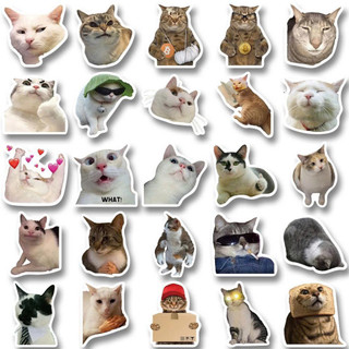 [Qùa Tặng kèm k bán] Combo Hình nhãn gián hình Sticker Nhãn gián