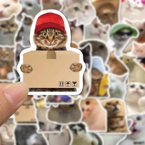Hình nhãn gián hình Sticker Nhãn gián