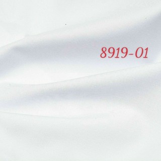 [ TRỢ GIÁ SALE ] [HỎA TỐC] Áo Thái Hòa  vải sợi tre và cotton màu trắng trơn 8919 2869 047