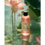 COMBO 2 Chai Nước Sen Hậu Giang Cocoon Lotus Soothing Toner 2x310ml Cấp Ẩm Làm Dịu Da
