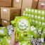 Trà Búp Ổi Hộp 60 Gói ✅ Trà Mộc Tâm giảm béo kiểm soát cân nặng an toàn hoàn hảo cho chị em