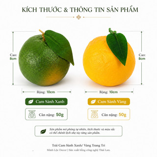 Trái cây giả, Trái Cam Sành Xanh/ Vàng trang trí Cao cấp | Trái Cây Nhựa foam, Trái Cây trang trí, Trái Cây Mô Hình