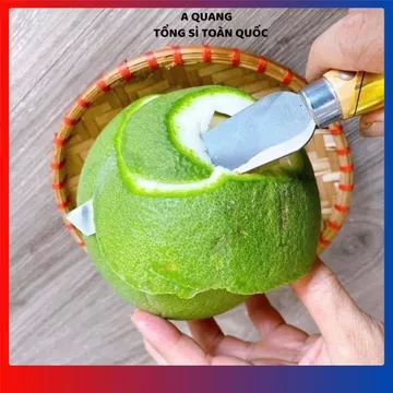 (COMBO 5) DAO GỌT CÁN GỖ DAO LÀM BẾP NỘI ĐỊA TRUNG THÉP KHÔNG GỈ CAO CẤP - Dao Gọt Hoa Quả Sắc Bén, Dao Nhà Bếp Đa Năng