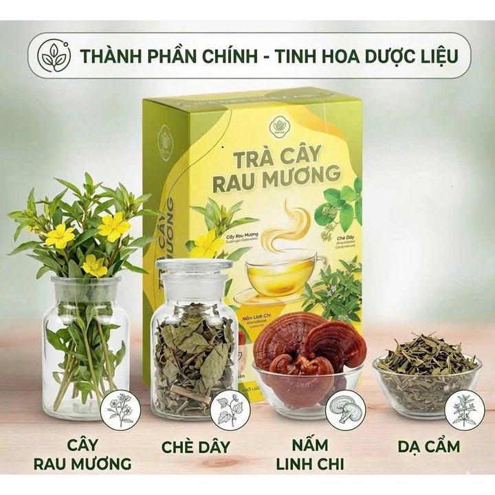 Trà Cây Rau Mương Hộp 30 Gói Chính Hãng Cao Cấp ✅ Trà Mộc Tâm tốt cho dạ dày hệ tiêu hóa hết HP ợ hơi ợ chua trào ngược