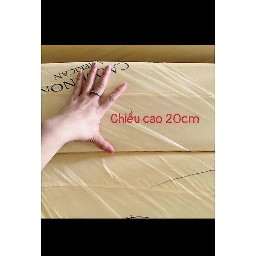 [HỎA TỐC] Nệm Gấp 3 cao su non American (Ép tổng hợp) đủ size (tặng 2 gối 40x60) | BigBuy360 - bigbuy360.vn