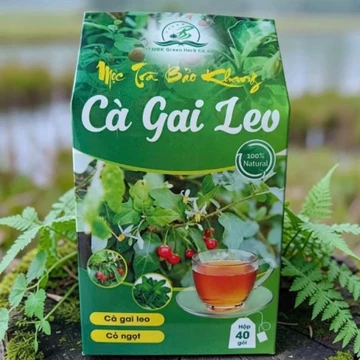 Trà cà gai leo túi lọc, hộp 40 gói trà túi lọc cà gai leo Bảo Khang, giúp hạ men gan, men gan cao