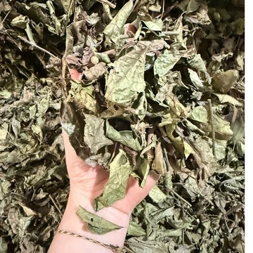 1kg Trà Lá Xạ Đen Chuẩn Hòa Bình (phơi khô,sạch ,thơm)