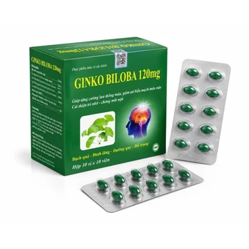 Viên uống Ginkgo Biloba 120mg Hỗ Trợ Tuần Hoàn Não Hộp 100 Viên