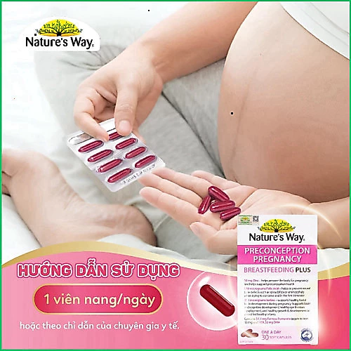 Combo Maternity Smart Vitamin Nature's Way Pregnancy – 4