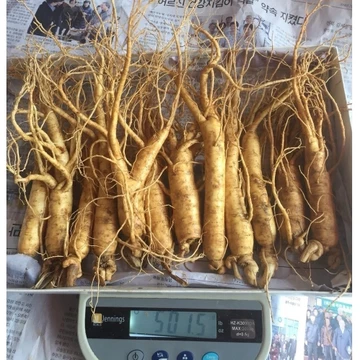 Sâm hầm gà 500g=13 củ, sâm Hàn Quốc, sâm, nhân sâm nhập Từ Hàn Quốc