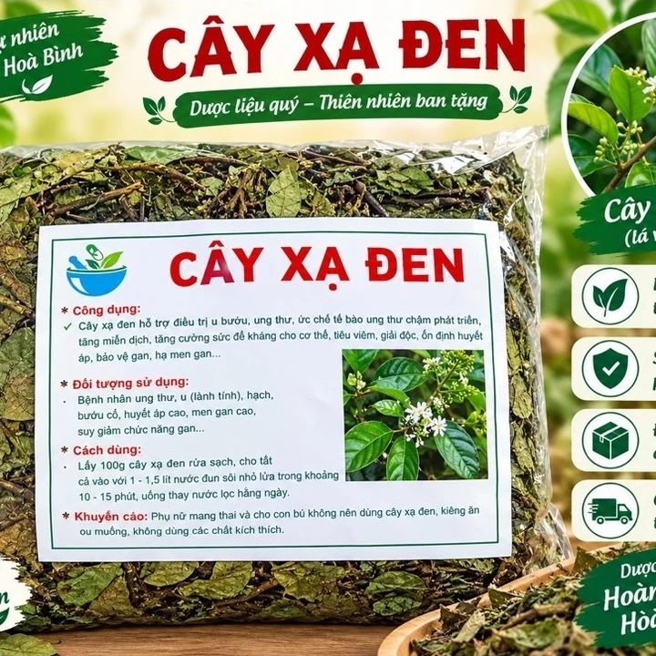🌿Cây xạ đen Hoà Bình