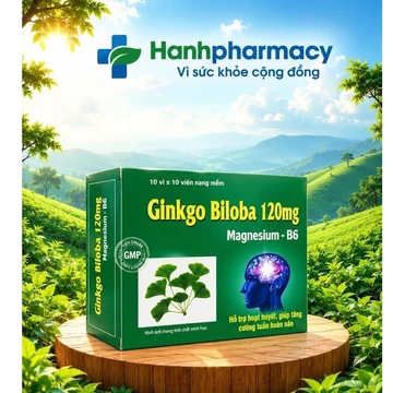 Hoạt Huyết Dưỡng Não Ginkgo Biloba 120mg, tăng cường tuân hoàn não Hộp 100 viên