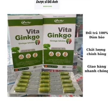 VITA GINKGO – Hỗ Trợ Tuần Hoàn, Bổ Sung Ginkgo Biloba & CoQ10 (30 Viên)