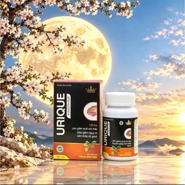 Viên Gout URIQUE Kingphar 1,Hỗ TRợ Giảm Acid Uric Máu,Giảm Nguy Cơ Viêm Khớp Do Gout ( Hộp 40 viên )
