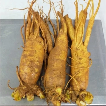 Sâm tươi Hàn Quốc ngâm mật ong 3 củ =500g, sâm trụi, nhân sâm hầm gà, sâm, sâm Hàn Quốc bồi bổ sức khỏe