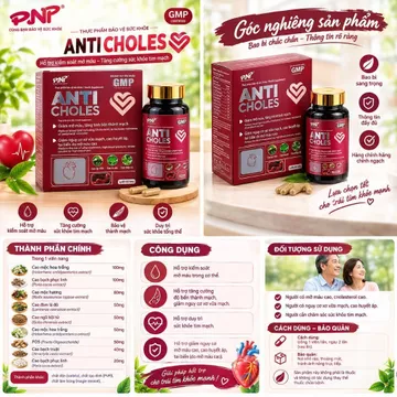 Hỗ Trợ Giảm Mỡ Máu Hạ Mỡ Gan ANTICHOLES TW28