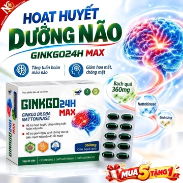 Viên Uống Bổ Não Ginkgo24H Max 60 Viên – Hoạt Huyết Dưỡng Não, Tăng Tuần Hoàn Máu Não