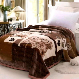 Chăn Nhung 2 lớp cao cấp ấm áp cho mùa đông, trọng lượng 2.5kg và 3.5kg, kích thước 1m8 x 2m.
