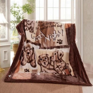 Chăn Nhung 2 lớp cao cấp ấm áp cho mùa đông, trọng lượng 2.5kg và 3.5kg, kích thước 1m8 x 2m.