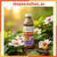 Mắm Nêm Bà Duệ loại đặc biệt 330ML💕 Đặc sản Huế 💕