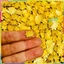 Combo 100 Rùa Vàng Hợp Kim , Kim Quy Phong Thủy, Chiêu Tài Rước Lộc