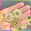 TÚI 20 Xu Hoa Mai , Hoa mai 5 cánh Xu phong thủy Size nhỏ 3cm , Xu tài lộc , Xu may mắn
