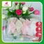 Bánh Hồng 800gr (không có dừa) – Đặc sản Bình Định, dẻo ngọt thơm ngon