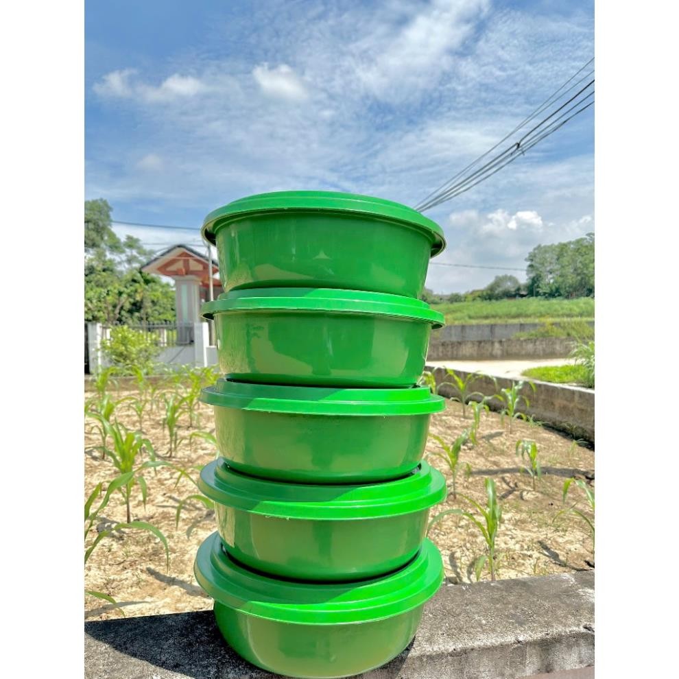 Combo 5 chậu 46cm kèm nắp khoan nuôi đuông dừa, bọ, dế, ốc, ủ cơm, chất liệu nhựa PP an toàn, cứng chắc chắn và dày dặn