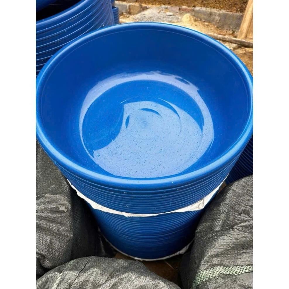 Combo 5 chậu có nắp 46cm nuôi đuông dừa,set 5 chậu nắp dày dặn thích hợp để chăn nuôi,ủ cơm rượu-N19