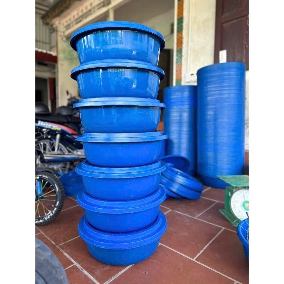 Combo 5 chậu có nắp 46cm nuôi đuông dừa,set 5 chậu nắp dày dặn thích hợp để chăn nuôi,ủ cơm rượu-N19