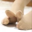 Tất Nữ Xỏ Ngón Chống Nắng Cổ Cao Da Chân Vải cotton dày dặn, mềm mịn cực êm chân