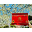 An Cung Trầm Hương Chính Phủ Hàn Quốc Korean Red Ginseng Mugunghwa Gongjinbo, Giúp Bổ Não Và Phòng Ngừa Đột Quỵ 60 viên