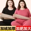 Bộ Đồ Lót Giữ Nhiệt Nữ Mùa Đông | Chất Liệu Nhung Đức Dày Dặn, Cổ Tròn, Size Lớn, Dành Cho Trung Niên & Cao Tuổi