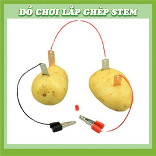 Bộ Kít Thí Nghiệm Phát Điện Từ Trái Cây - Đồ chơi STEM STEAM - Học liệu