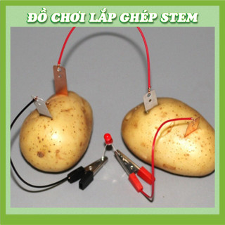 Bộ Kít Thí Nghiệm Phát Điện Từ Trái Cây - Đồ chơi STEM STEAM - Học liệu